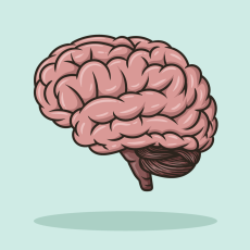 General Psychology (General)